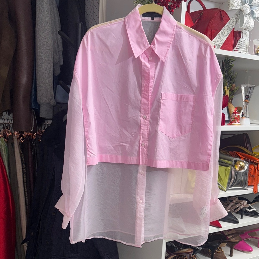 Not for Sale- Zara Light Pink Sheer Blouse